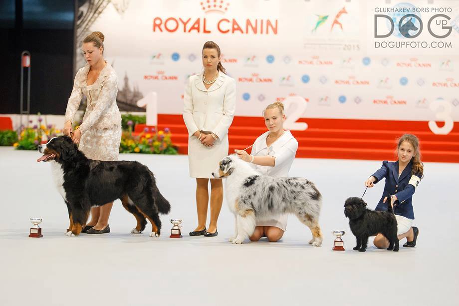 WORLD DOG SHOW 2015 MILANO